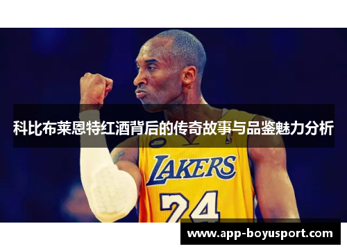 科比布莱恩特红酒背后的传奇故事与品鉴魅力分析